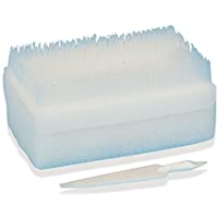 Gima 36574 cepillo Clorexidina- estériles- pack idiomas- pack de 30